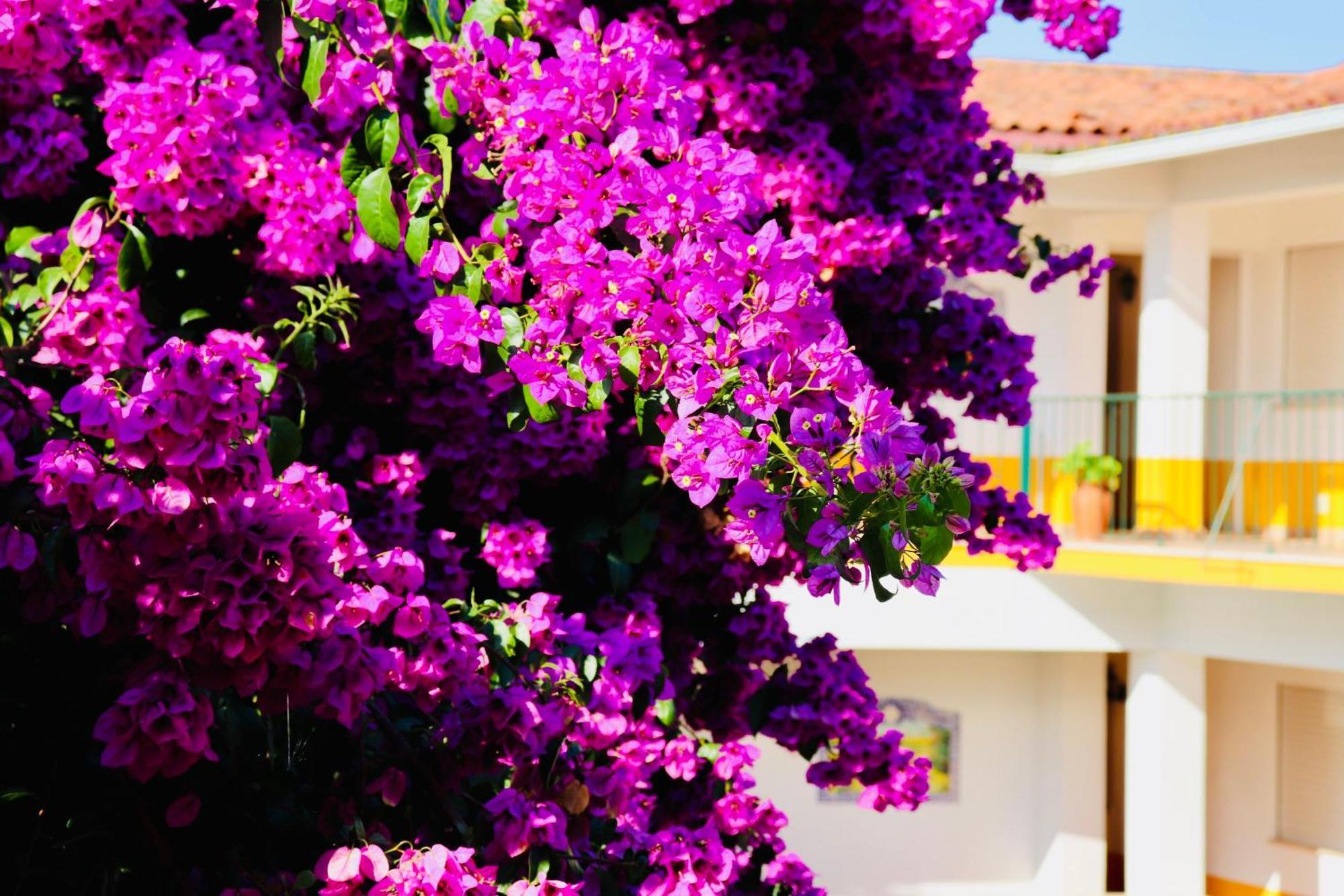 Costa Brava Alojamento Benedita Esterno foto